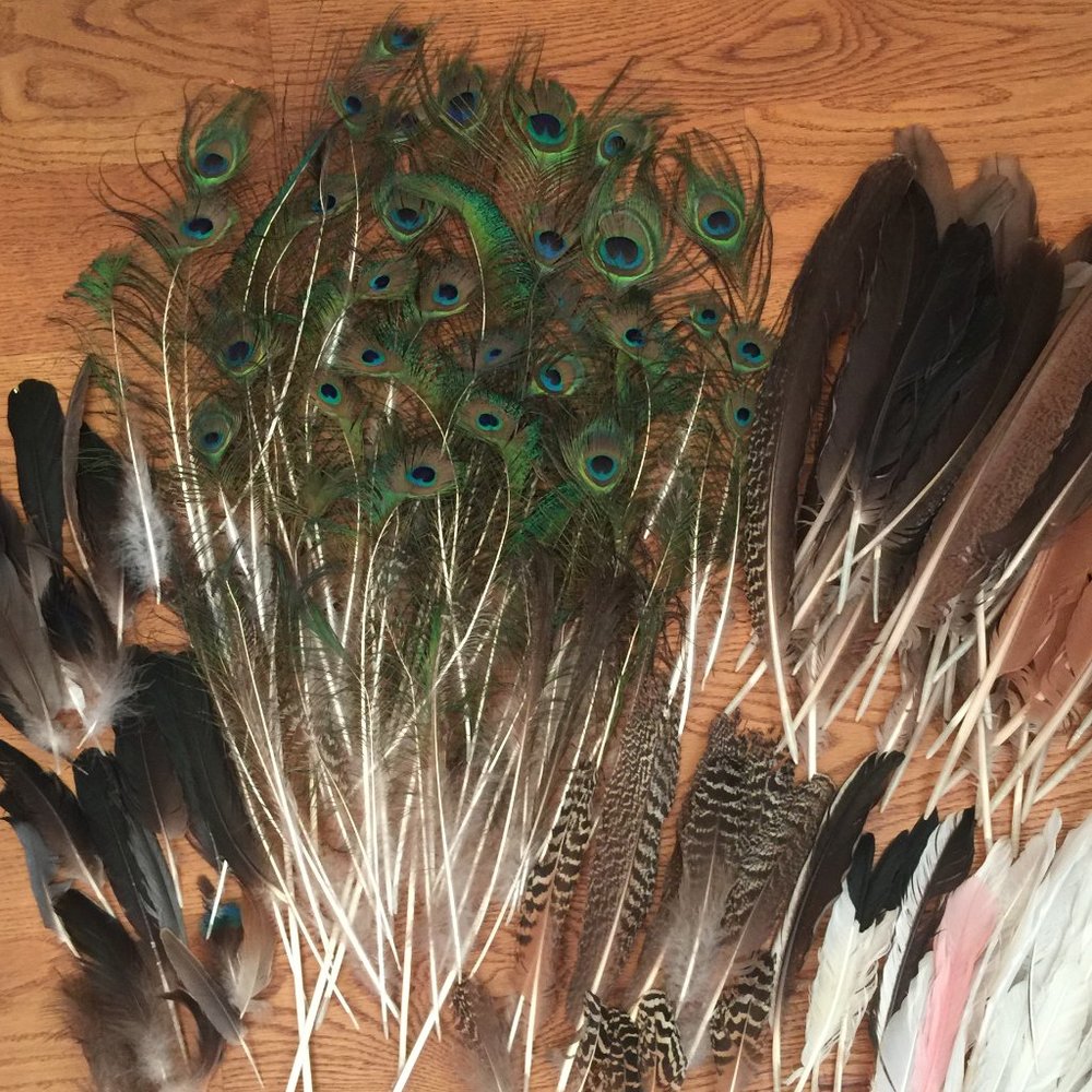 140PC NATURAL PEACOCK BIRD FEATHER CRAFT ART HOBBY COSTUME DECOR BOHO FESTIVAL